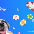 Casino med PugglePay – Spela tryggt och snabbt med PugglePay-casinon